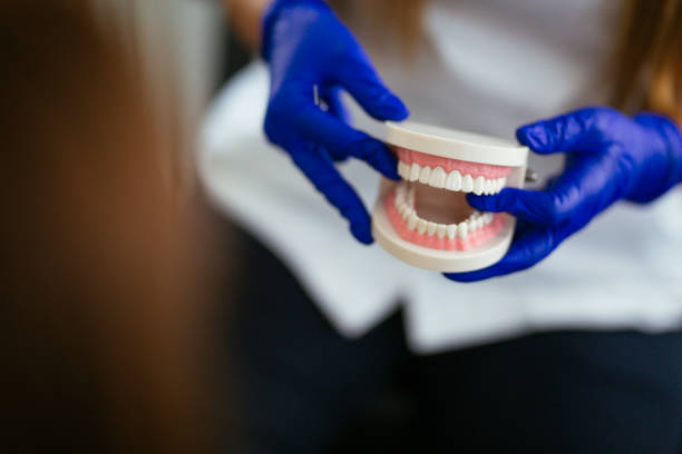 Best Traditional Braces  in Nephi, UT
